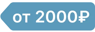 От 2000 рублей в месяц